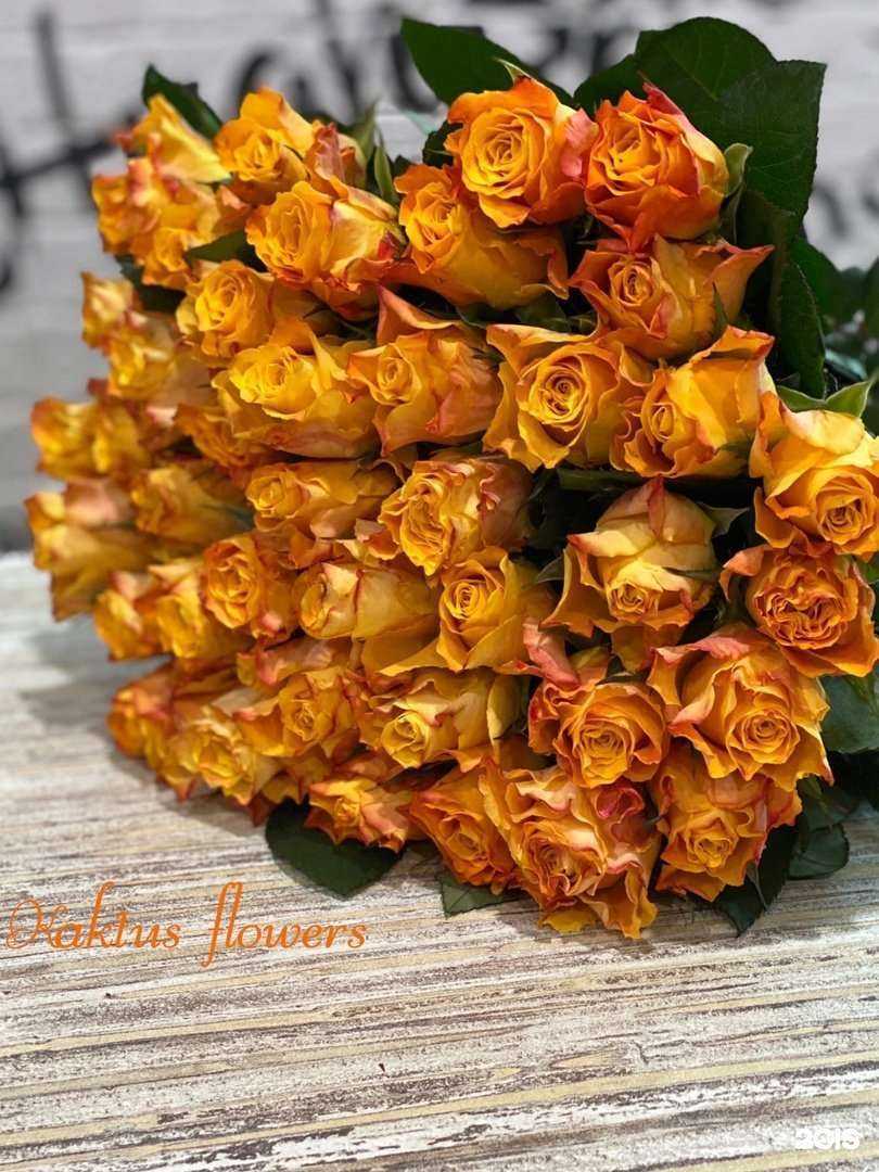 Отзывы на компанию Кактус в Омске c фото