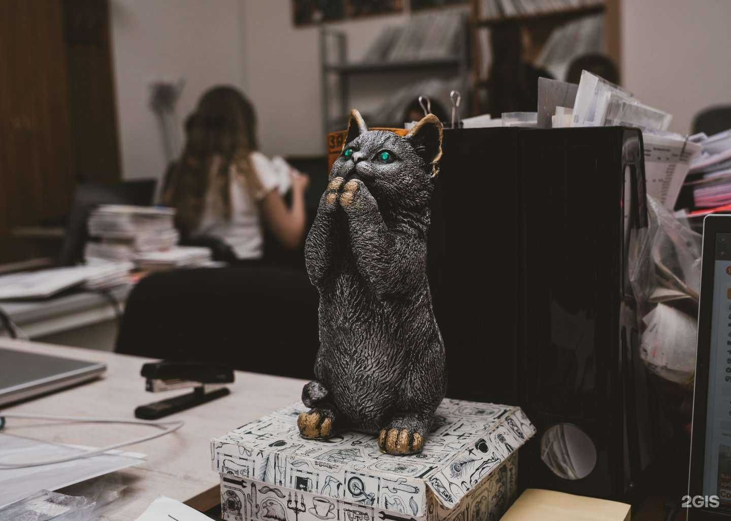 Отзывы на компанию Раздоров и Компания в Ростове-на-Дону c фото