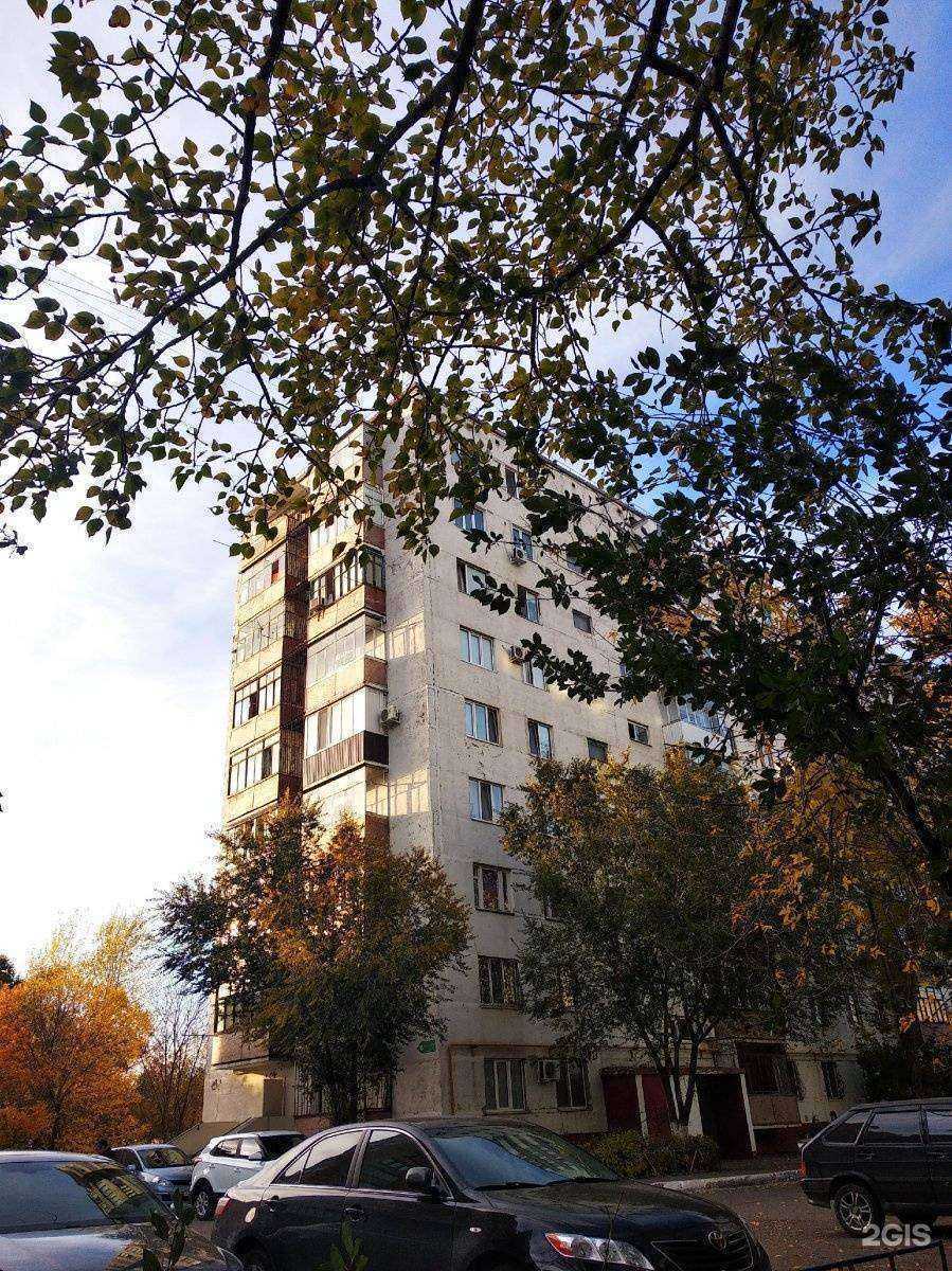 Отзывы на компанию Зоомир в Оренбурге c фото - фотография 2 из 2