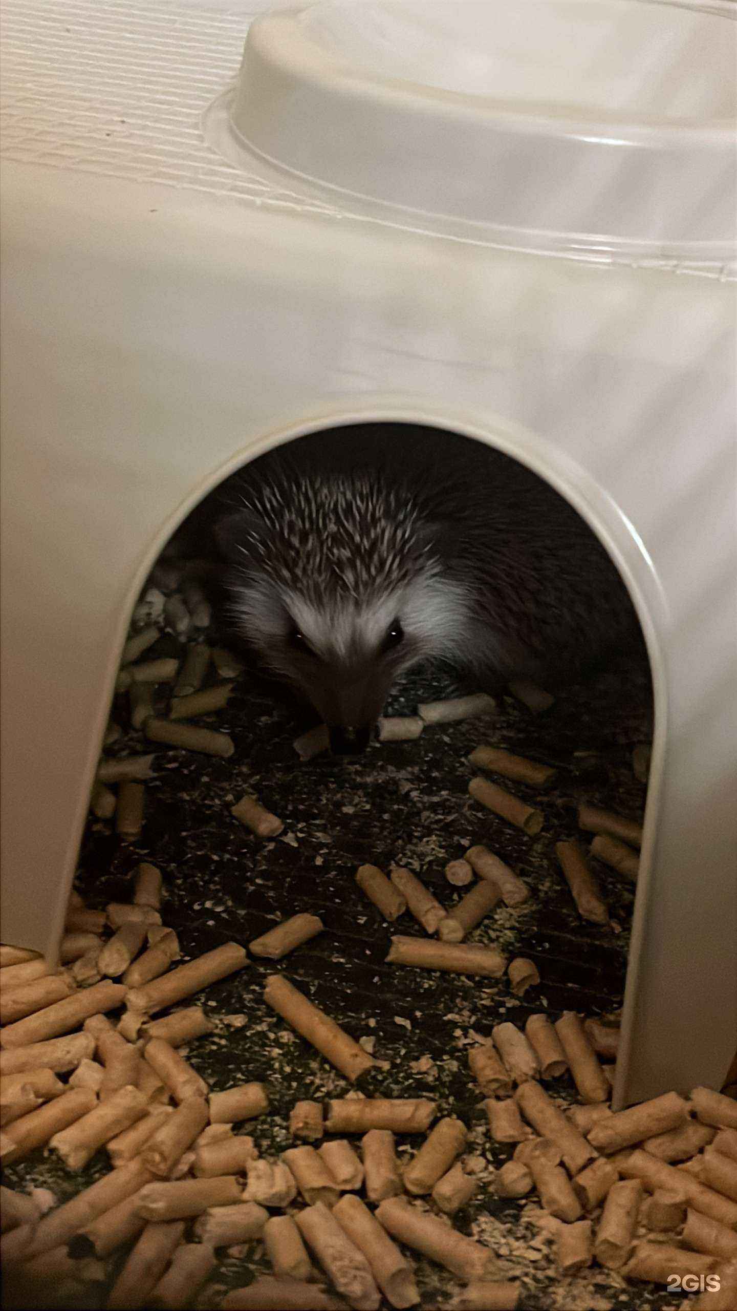 Отзывы на компанию ЗооМир в г. Якутск c фото