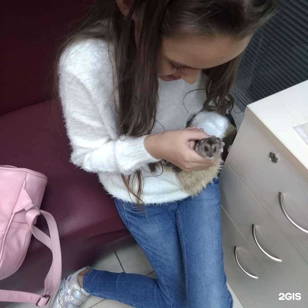 Отзывы на компанию LingvostudiA в г. Чебоксары c фото