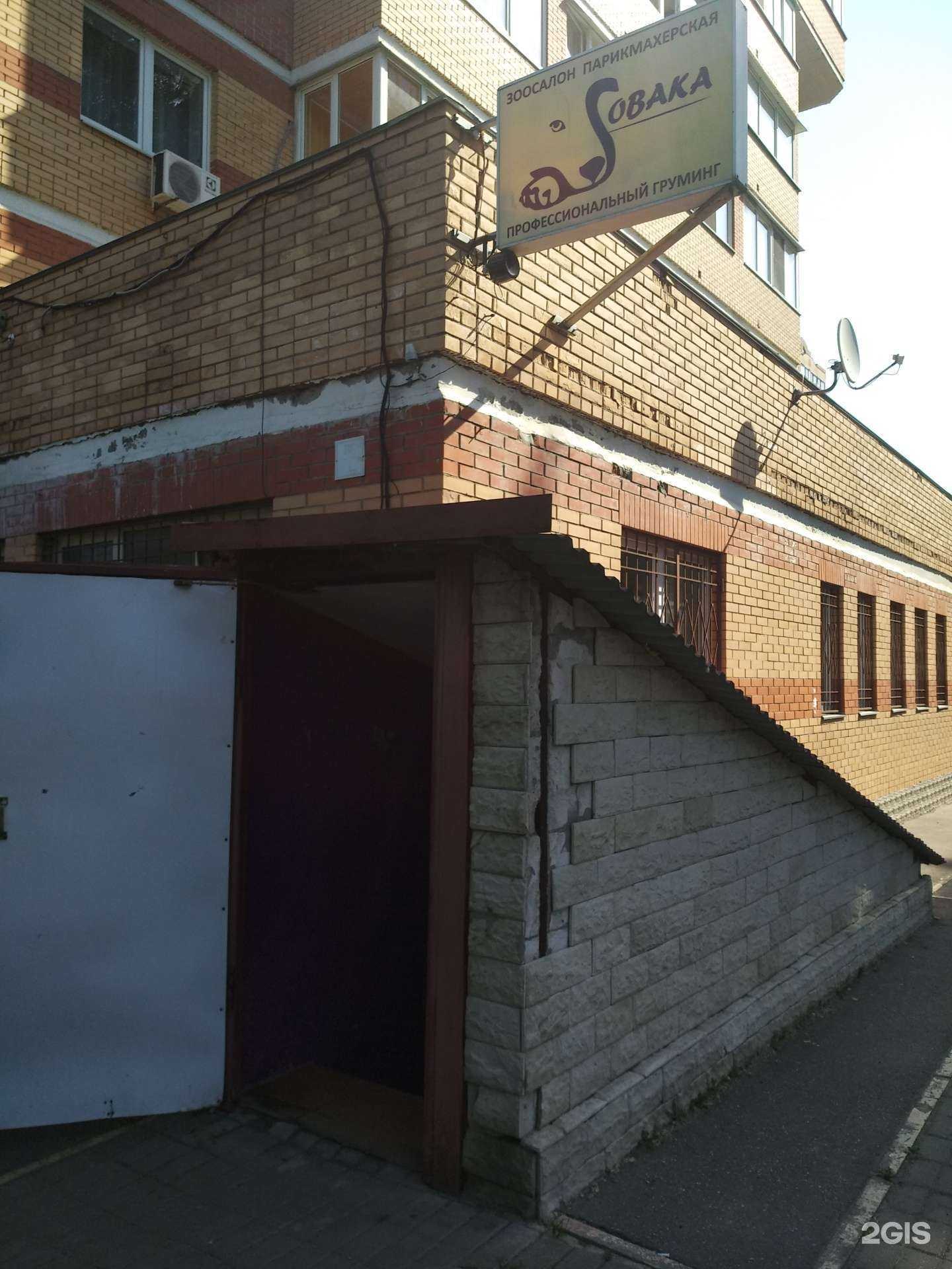 Отзывы на компанию Sobaka в г. Балашиха c фото