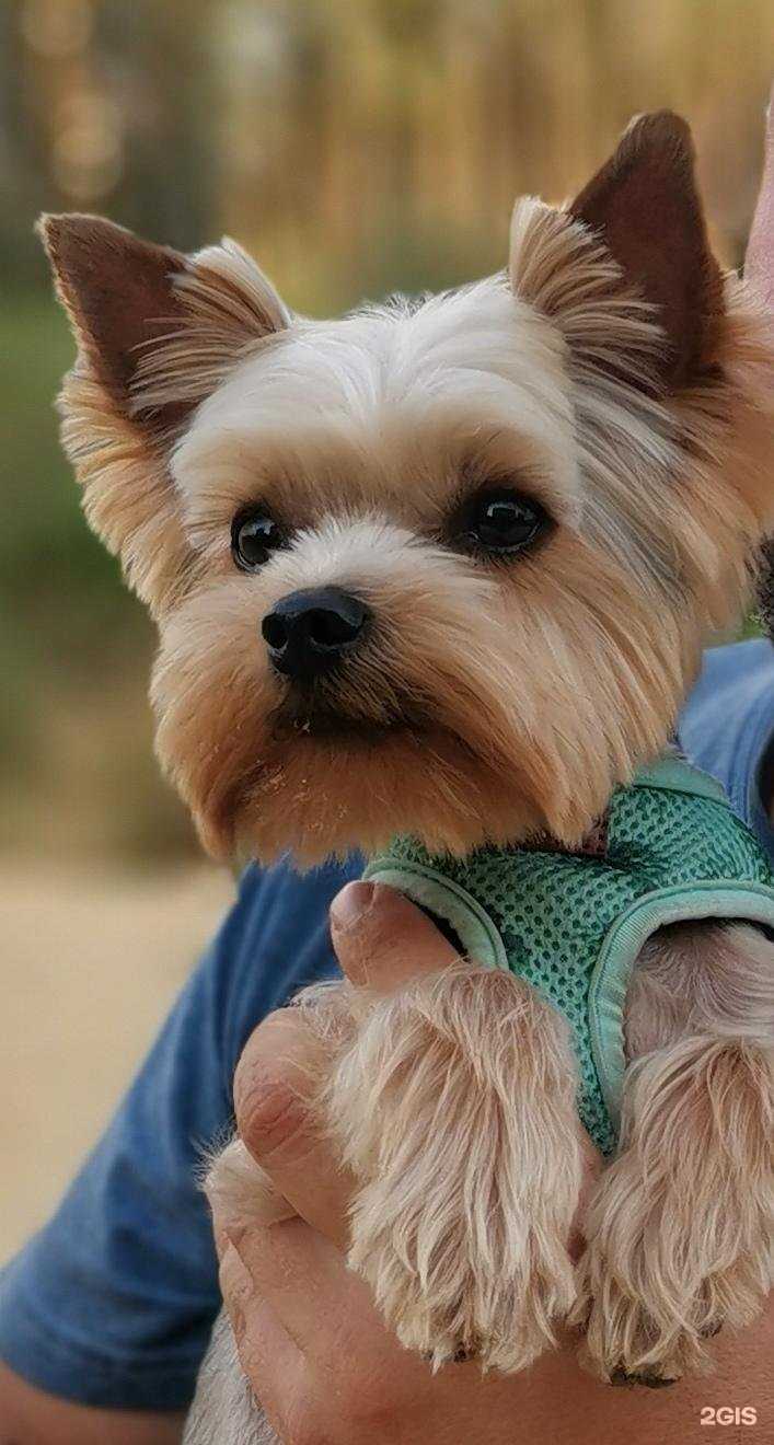 Отзывы на компанию Perfect groom в г. Дзержинский c фото