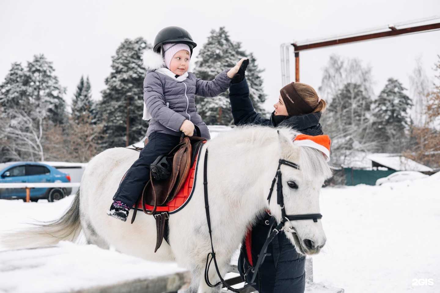 Отзывы на компанию Сириус в г. Ижевск c фото