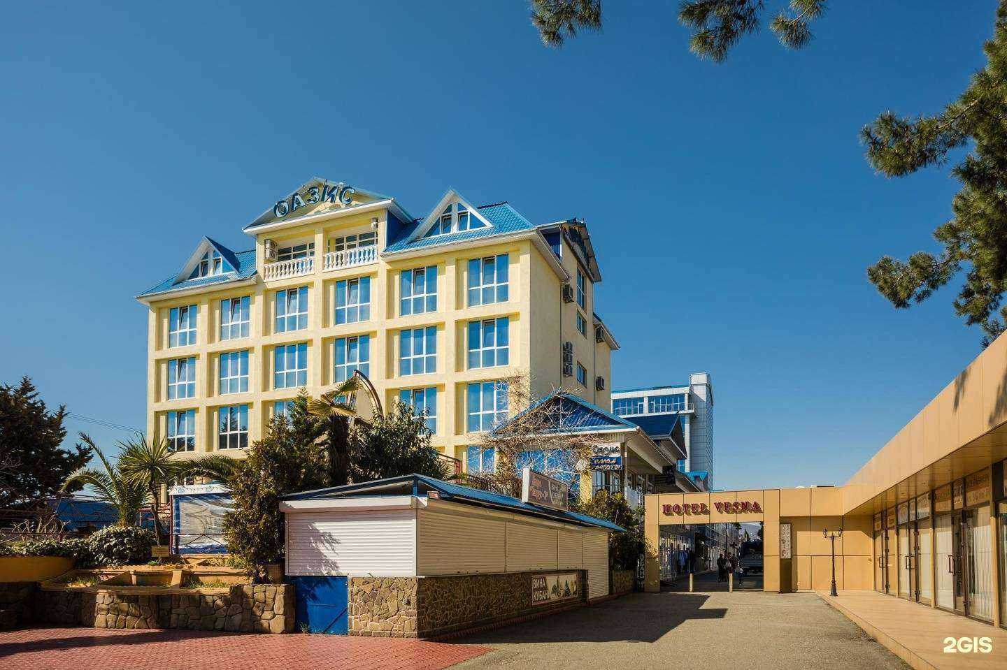 Отзывы на компанию Оазис в Сочи c фото