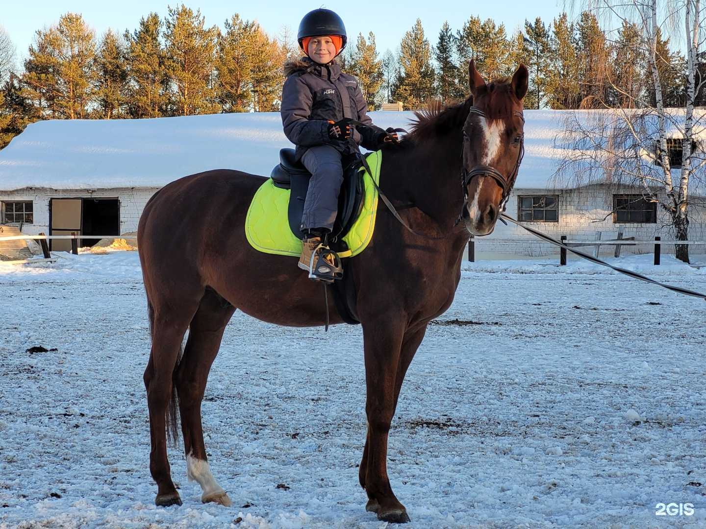 Отзывы на компанию Триада в Ижевске c фото
