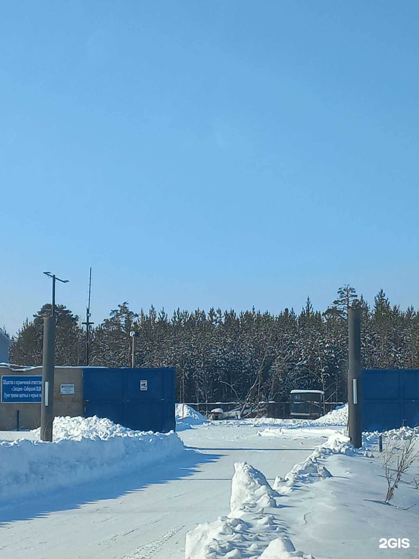 Отзывы на компанию Западно-Сибирский Вцм в Нижневартовске c фото