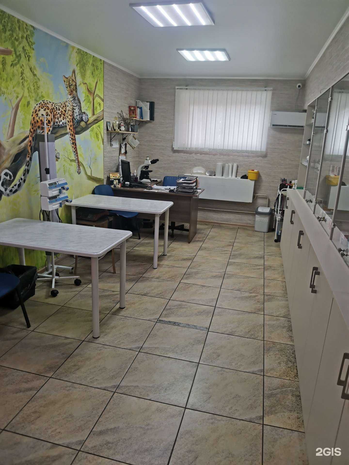 Отзывы на компанию Ника в Краснодаре c фото