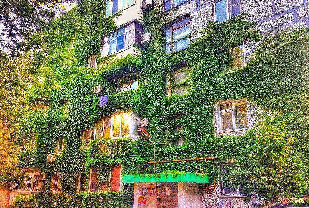 Отзывы на компанию Донгаланд Проект в Ростове-на-Дону c фото - фотография 2 из 2