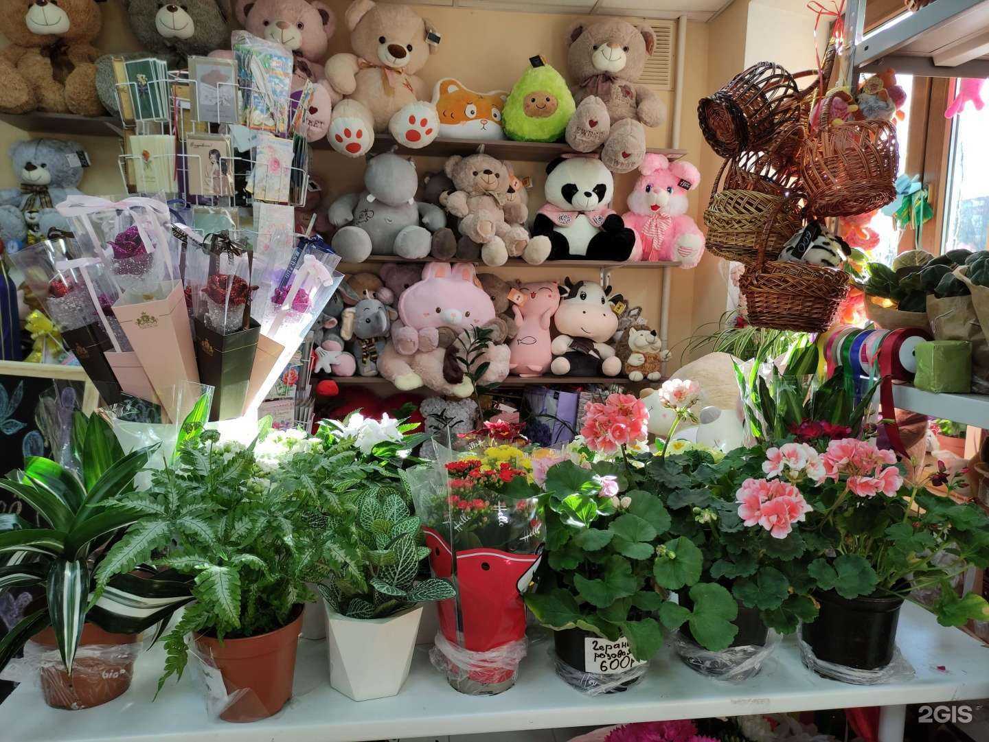 Отзывы на компанию Магазин цветов в Щёлкове c фото