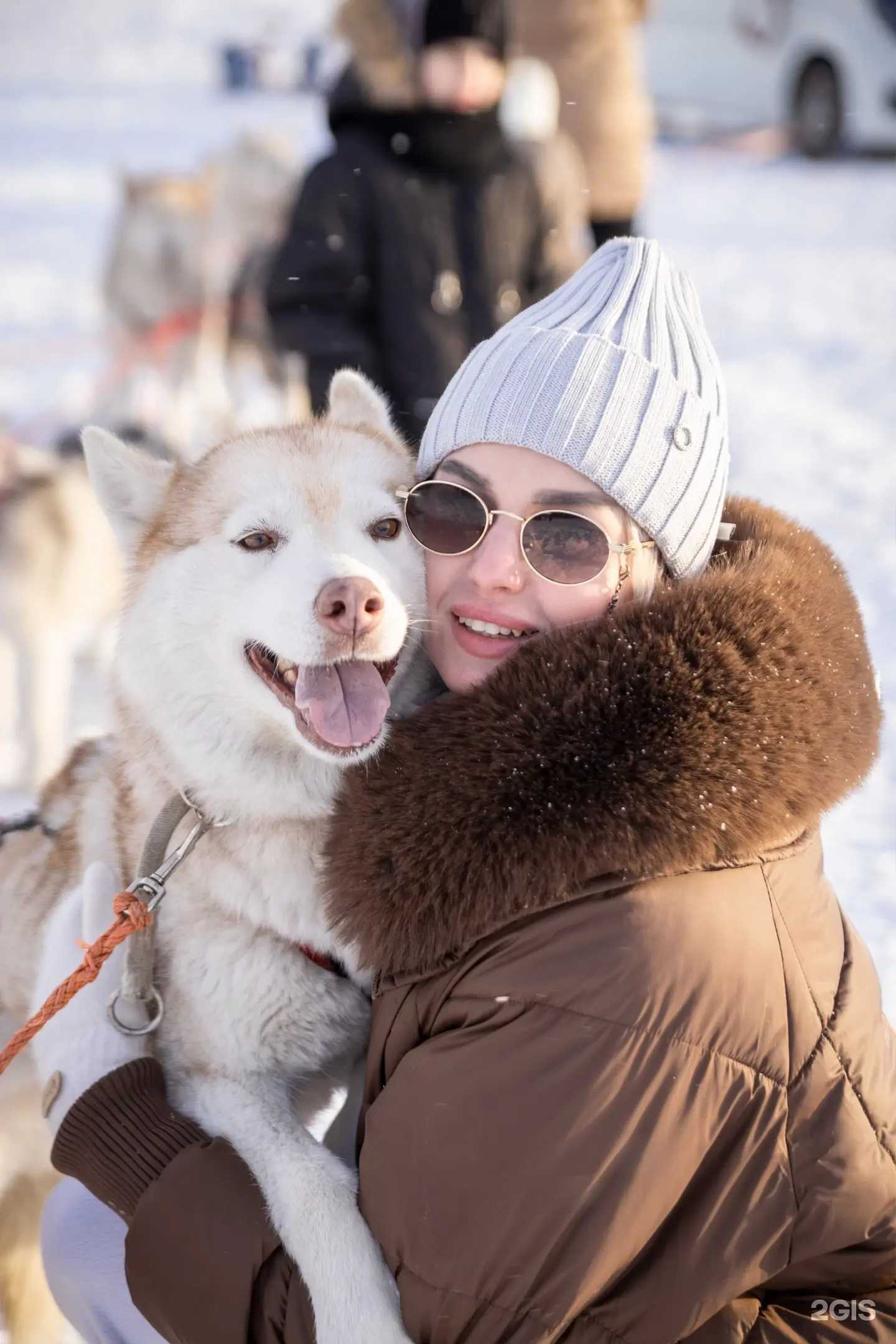 Отзывы на компанию Хаски парк в г. Улан-Удэ c фото