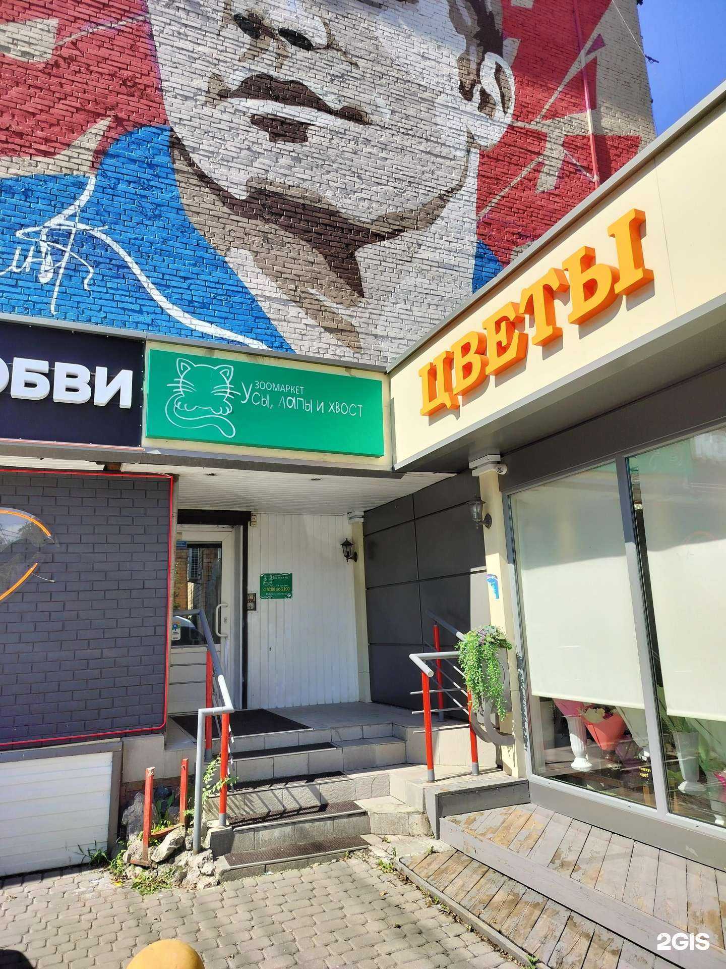 Отзывы на компанию Усы, лапы и хвост в г. Красноярск c фото