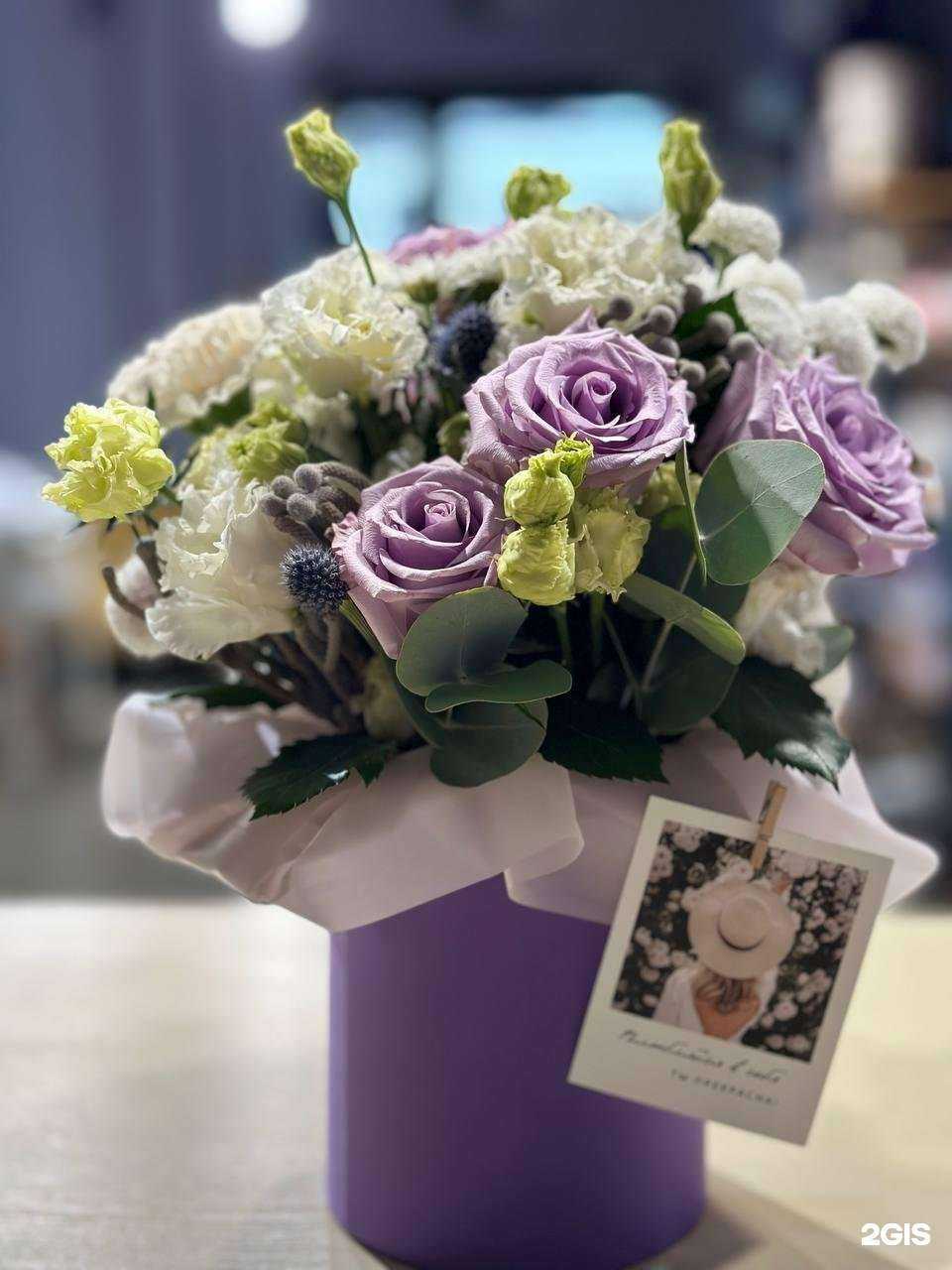 Отзывы на компанию София в Петрозаводске c фото