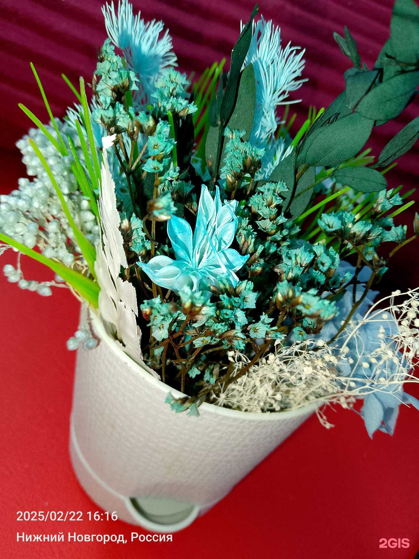 Отзывы на компанию Студия наращивания ресниц и архитектуры бровей в Нижнем Новгороде c фото