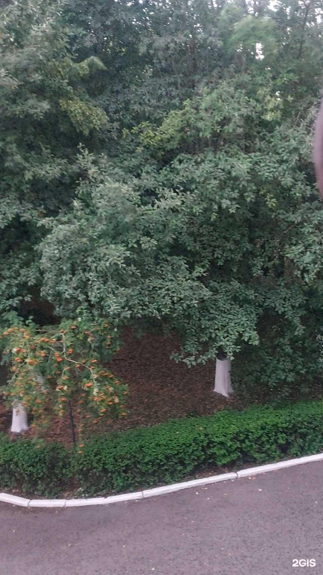 Отзывы на компанию Краевой лечебно-реабилитационный центр в г. Ставрополь c фото