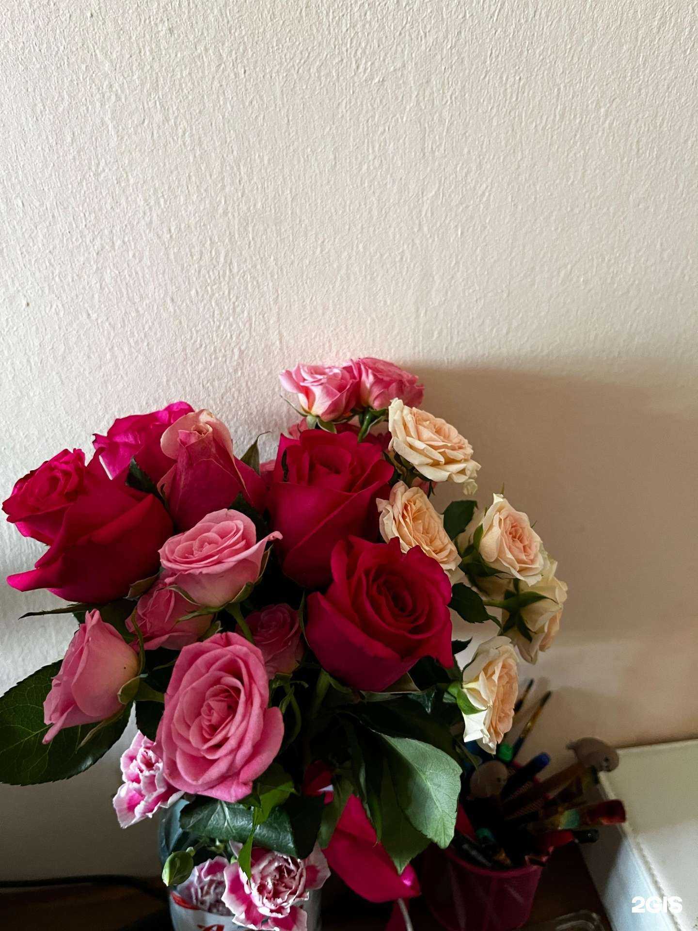 Отзывы на компанию Три розы в Кызыле c фото