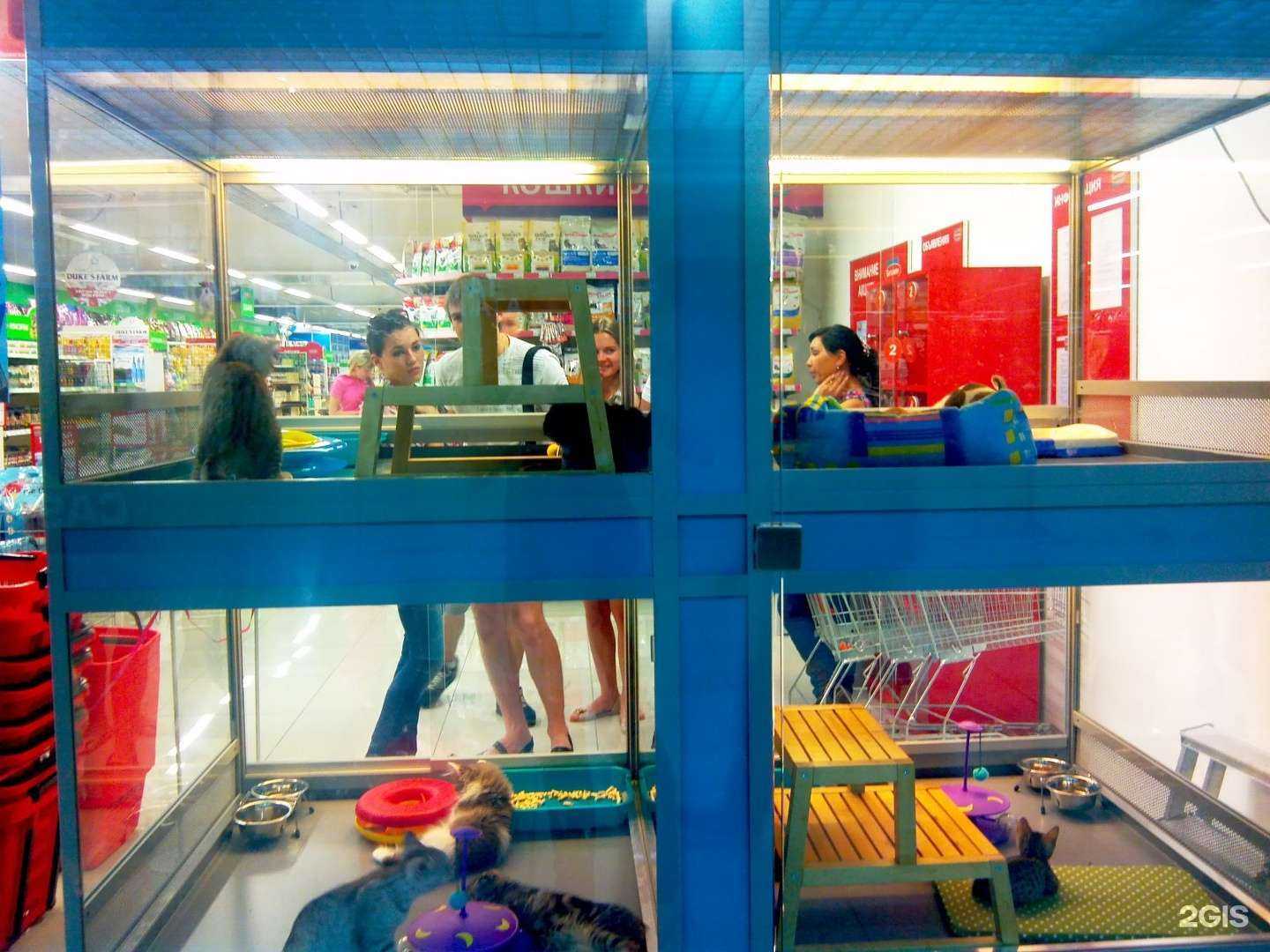 Отзывы на компанию Бетховен в Самаре c фото