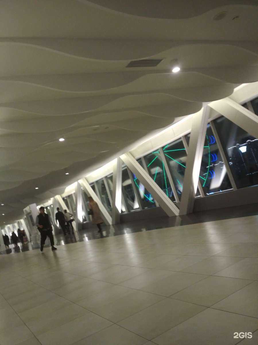 Отзывы на компанию DNS в г. Красногорск c фото