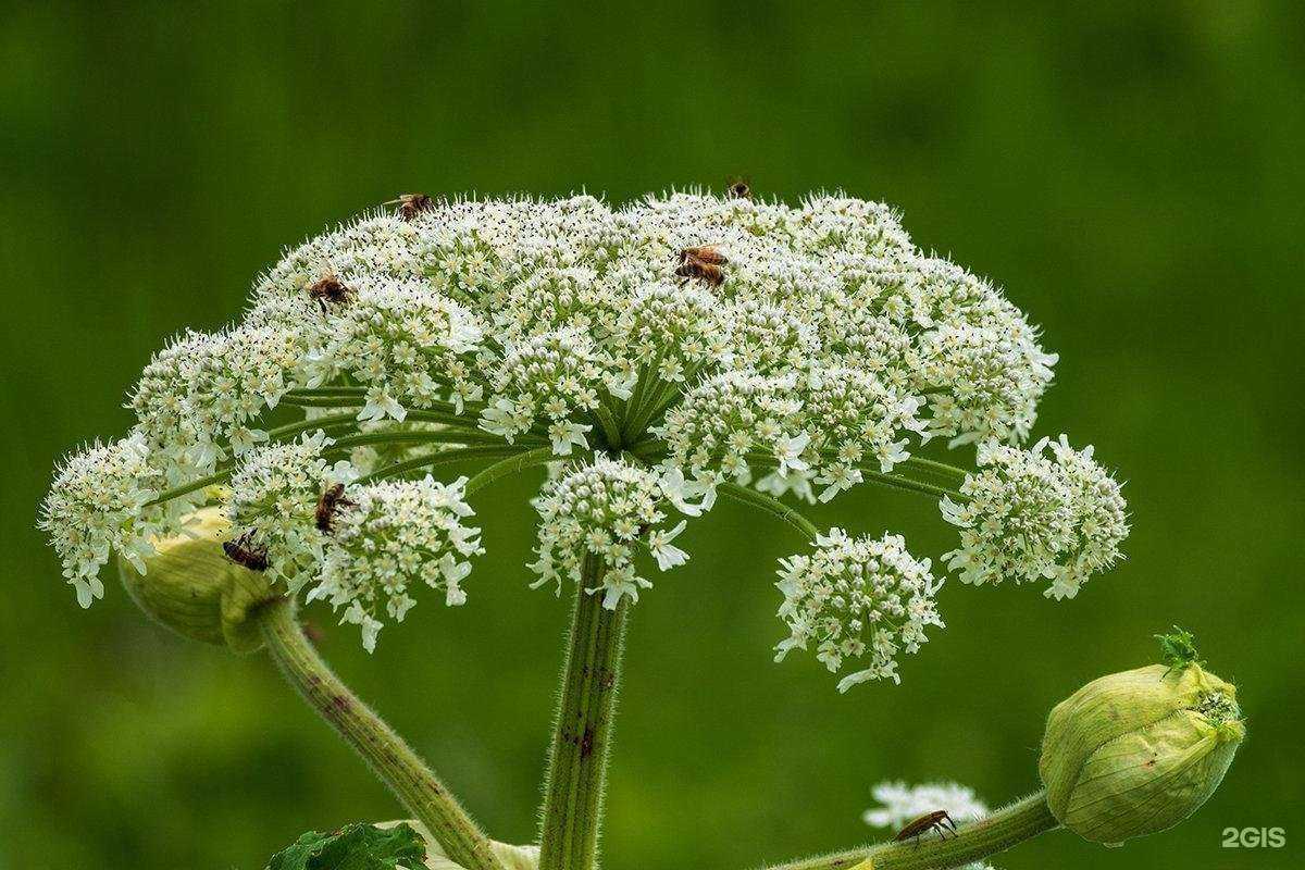 Отзывы на компанию Ваше хозяйство в Нижнем Новгороде c фото