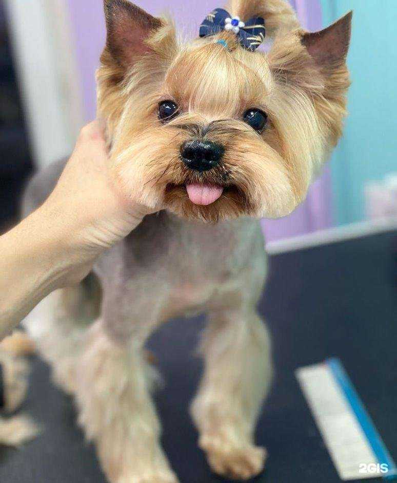 Отзывы на компанию Феликс в Люберцах c фото