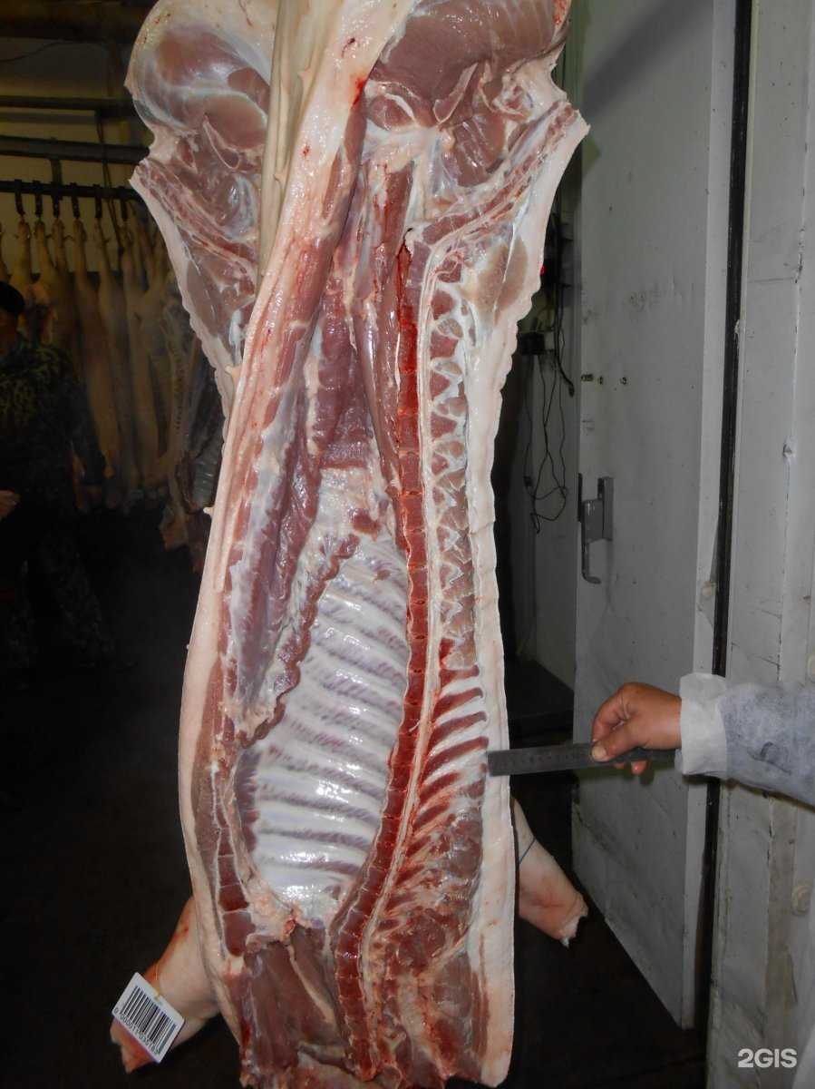 Отзывы на компанию Мясо Алтая в Бийске c фото