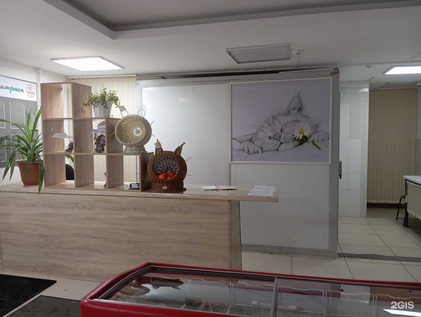 Отзывы на компанию Лесси в Уфе c фото