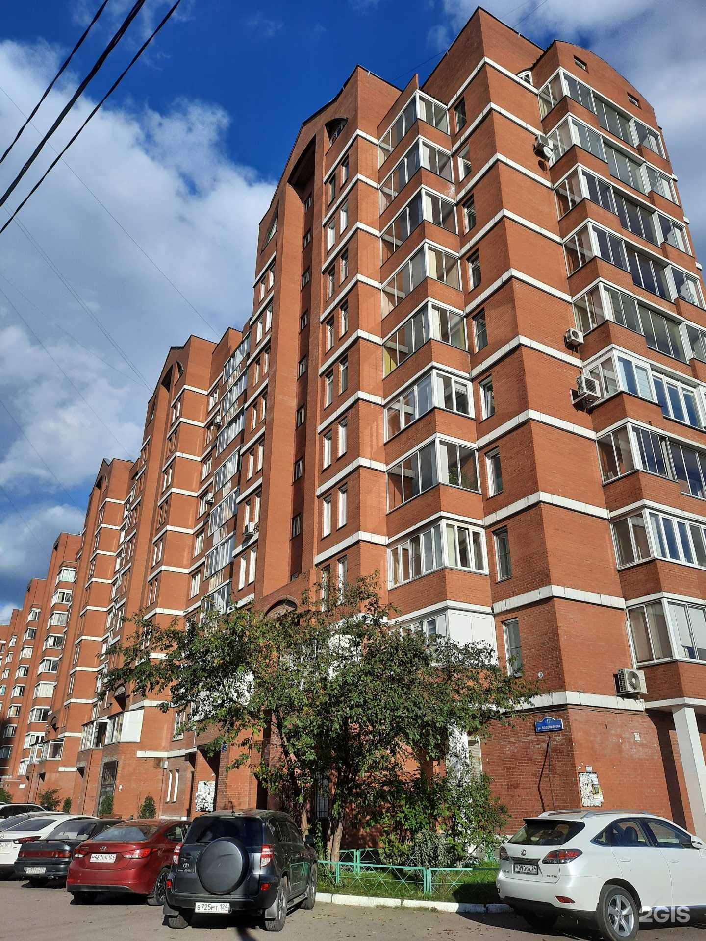 Отзывы на компанию Zooroom в Красноярске c фото - фотография 2 из 2