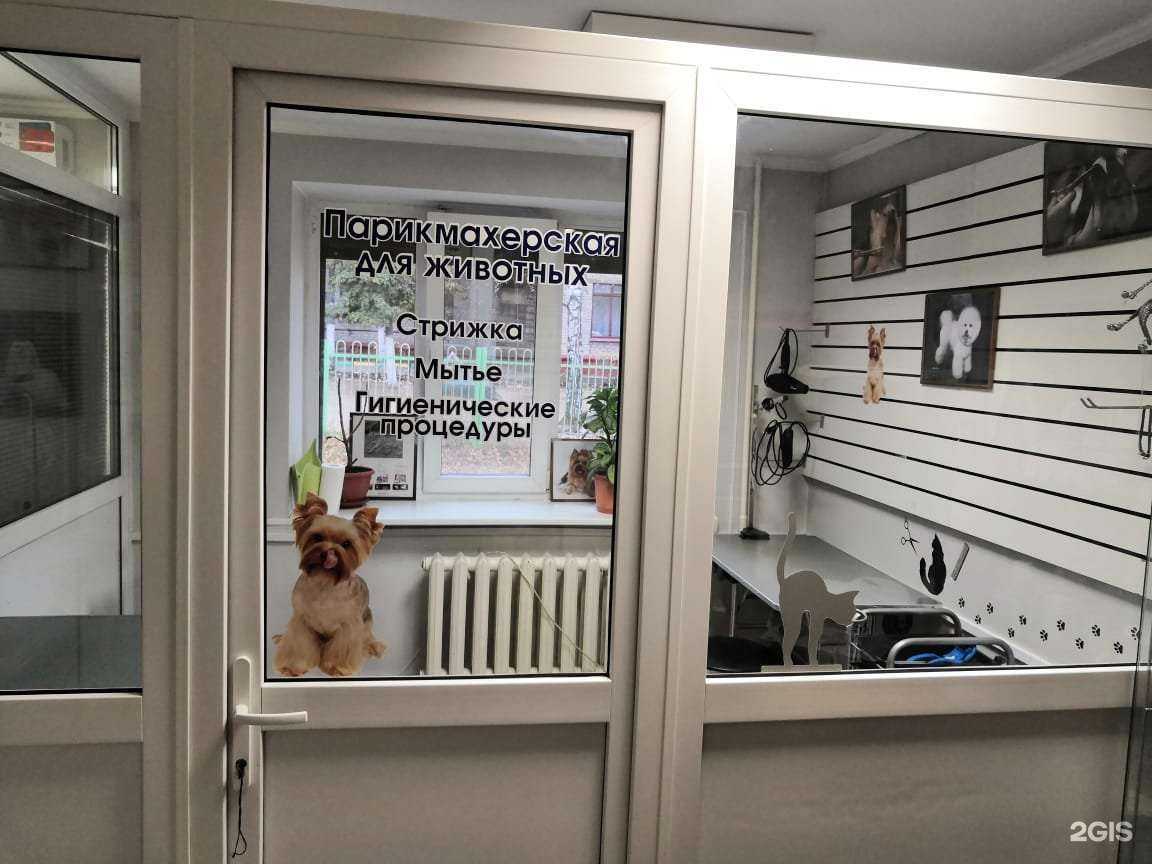 Отзывы на компанию Альфавет в Казани c фото