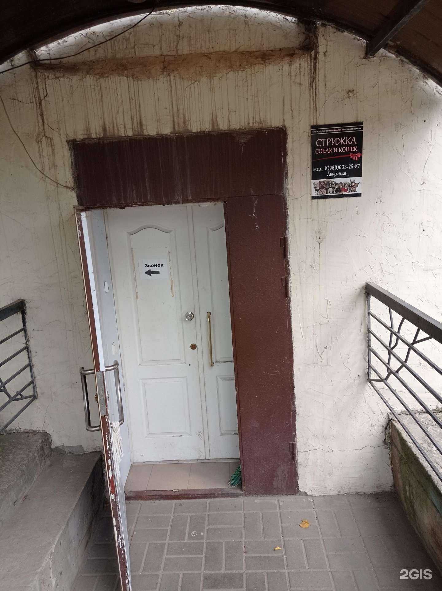 Отзывы на компанию Груминг-салон в г. Старый Оскол c фото