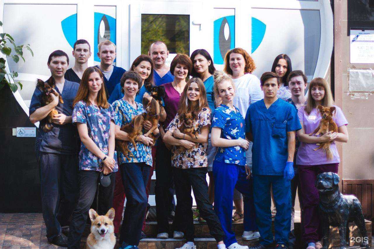 Отзывы на компанию Наш добрый доктор в Уфе c фото