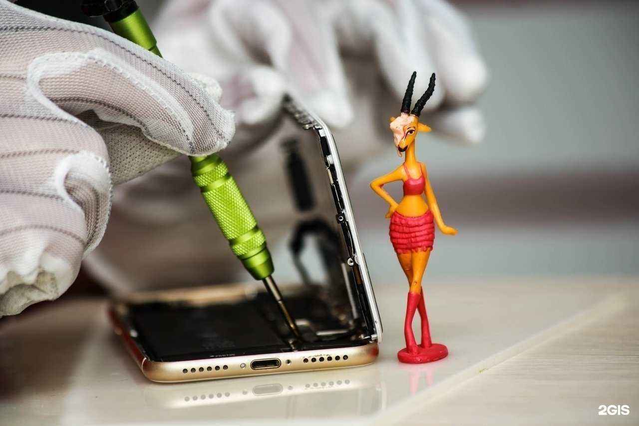 Отзывы на компанию MobileClinic в Сургуте c фото