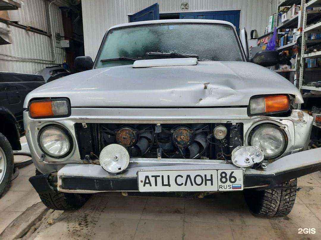 Отзывы на компанию Слон в г. Нижневартовск c фото