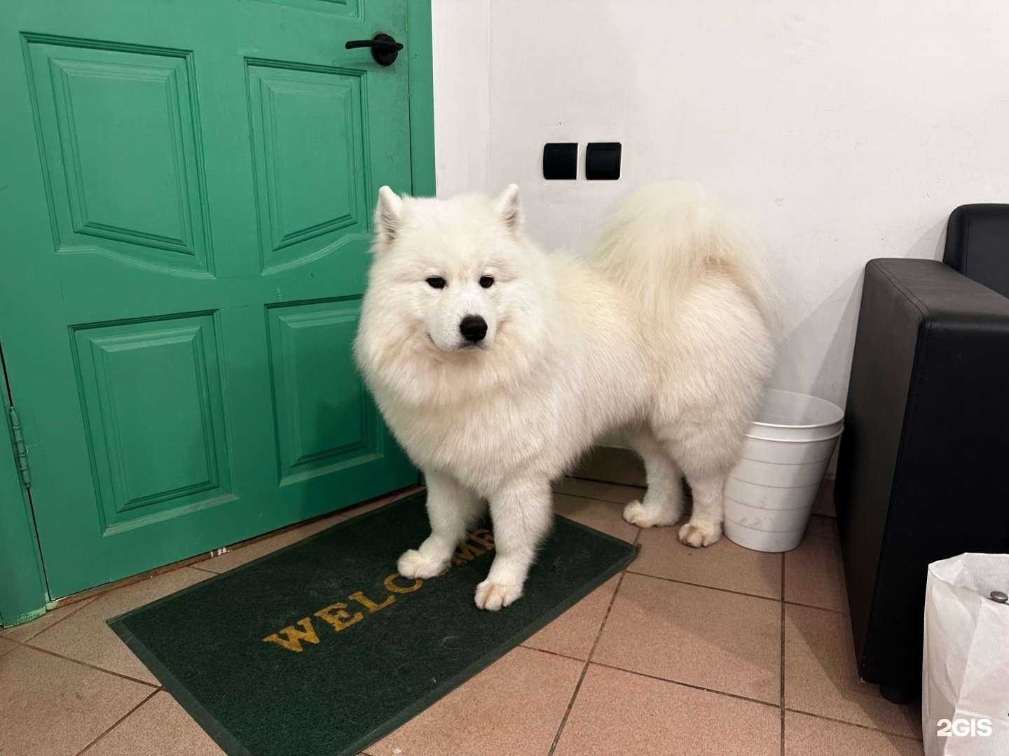 Отзывы на компанию Клякса в Смоленске c фото