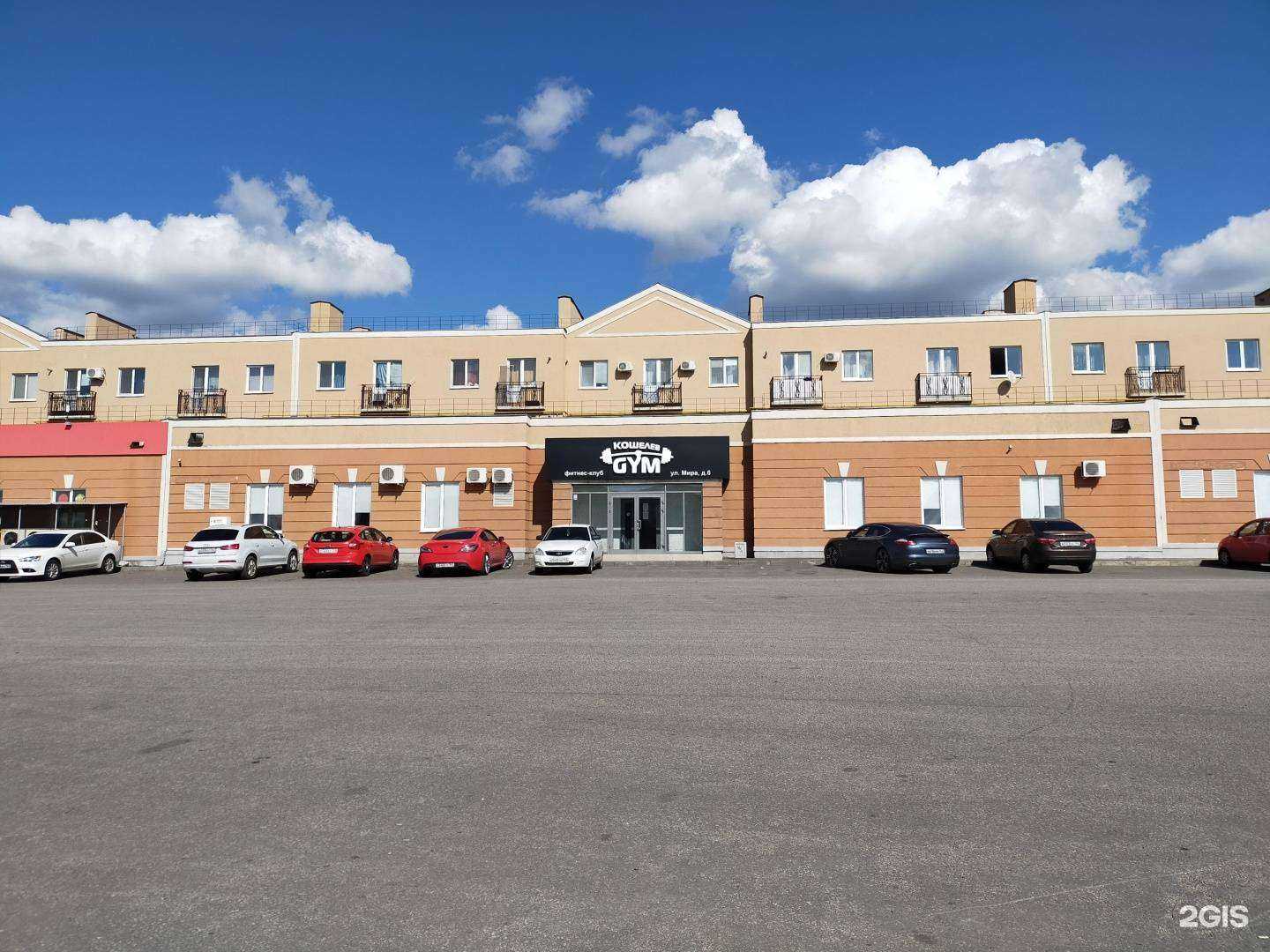 Отзывы на компанию Капоэйра So Forca в Самаре c фото - фотография 2 из 2