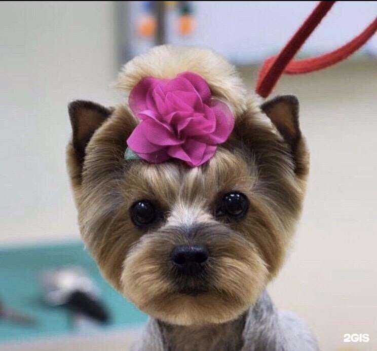 Отзывы на компанию Friends в Сургуте c фото