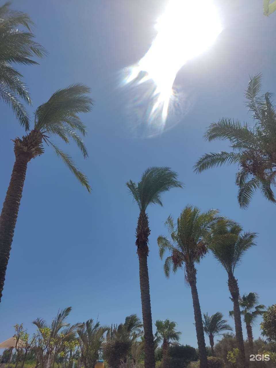 Отзывы на компанию Гермес Тур в Якутске c фото