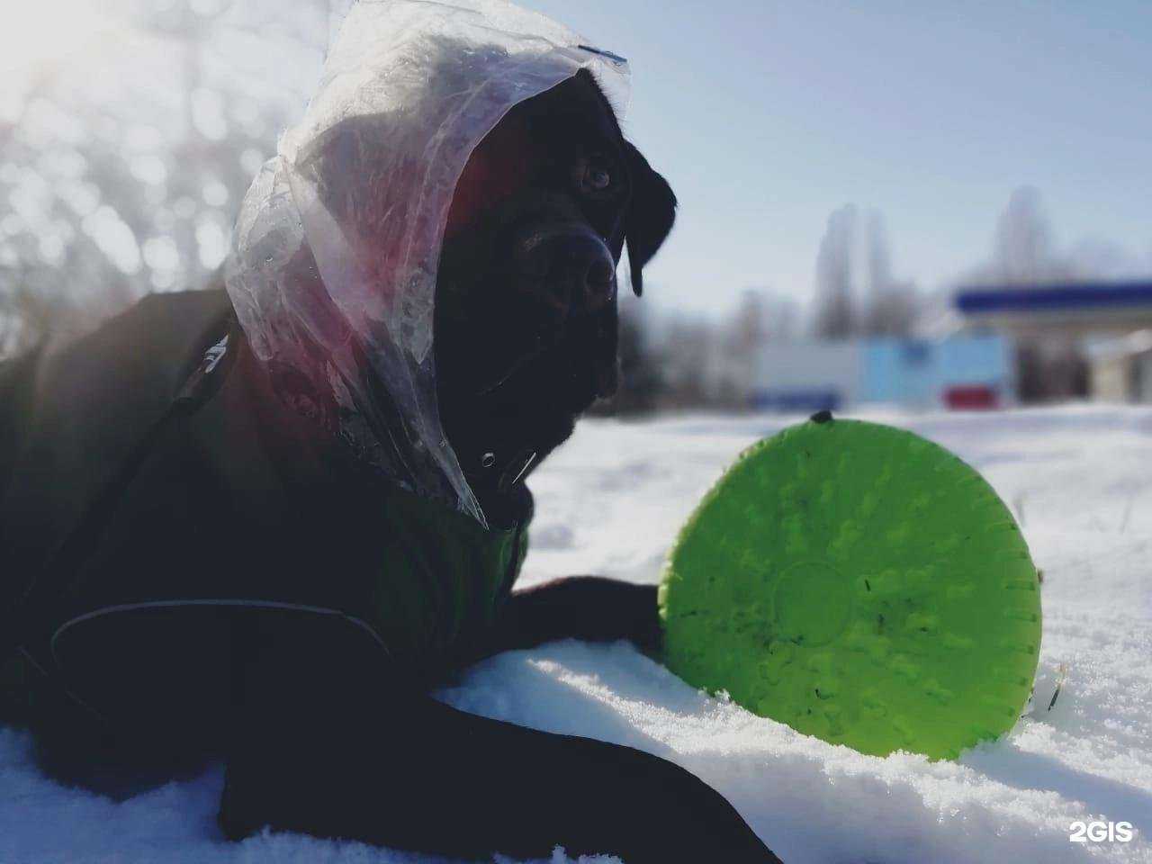 Отзывы на компанию Доктор c в г. Новороссийск c фото