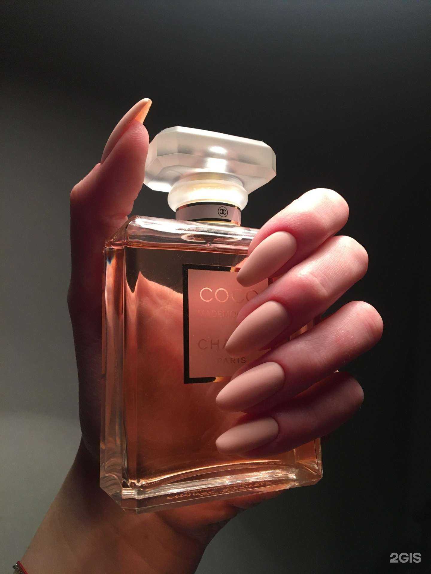 Отзывы на компанию Kisti в Новосибирске c фото