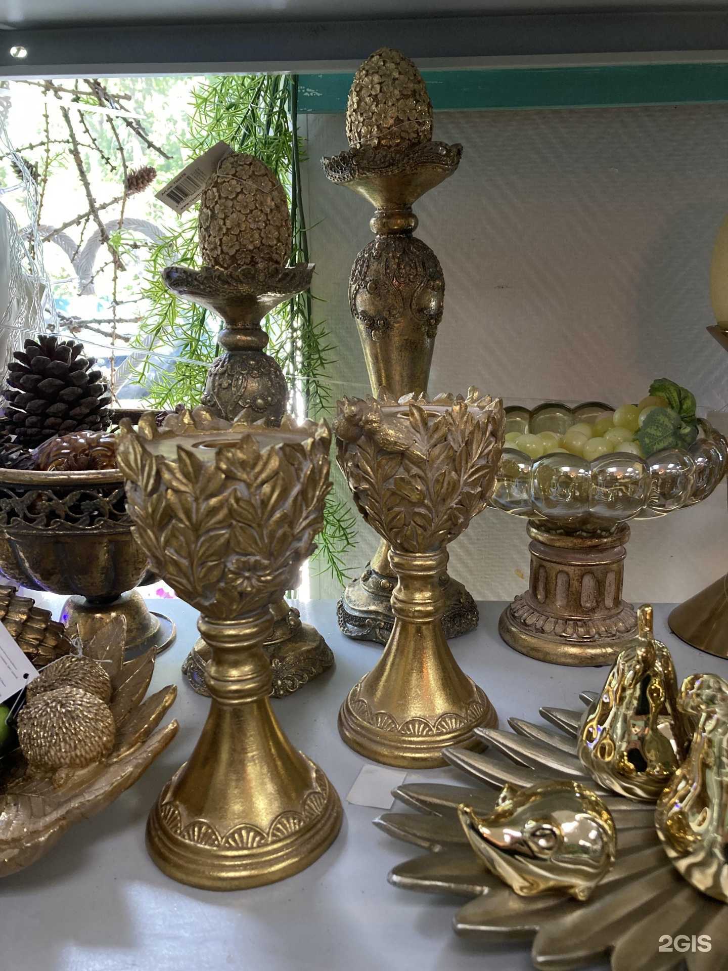 Отзывы на компанию Флора в Королёве c фото