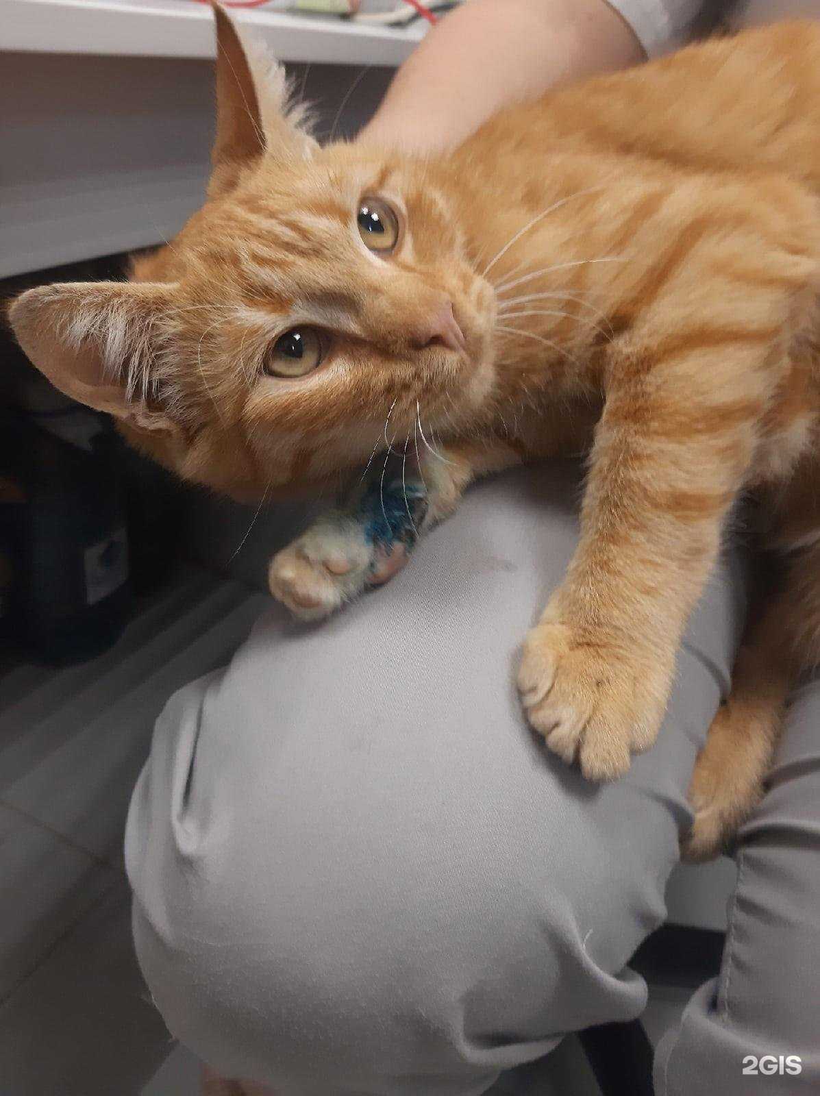 Отзывы на компанию Славянское в г. Калининград c фото