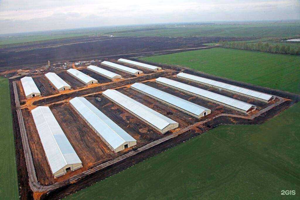 Отзывы на компанию Комплексные Решения в Тамбове c фото