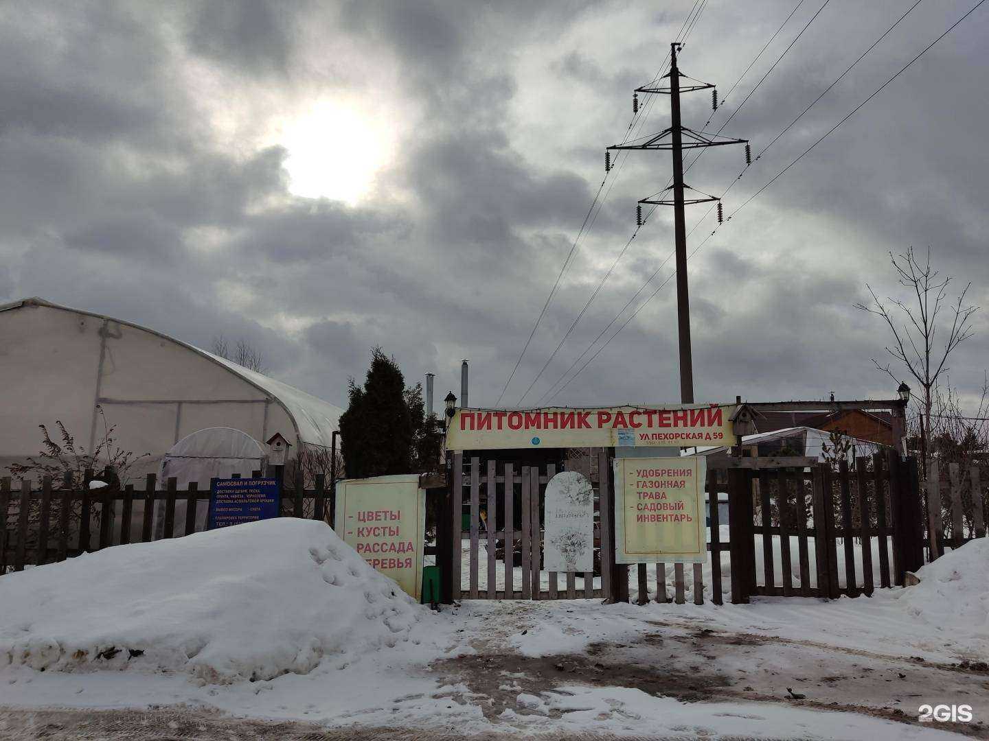 Отзывы на компанию Питомник растений в г. Балашиха c фото