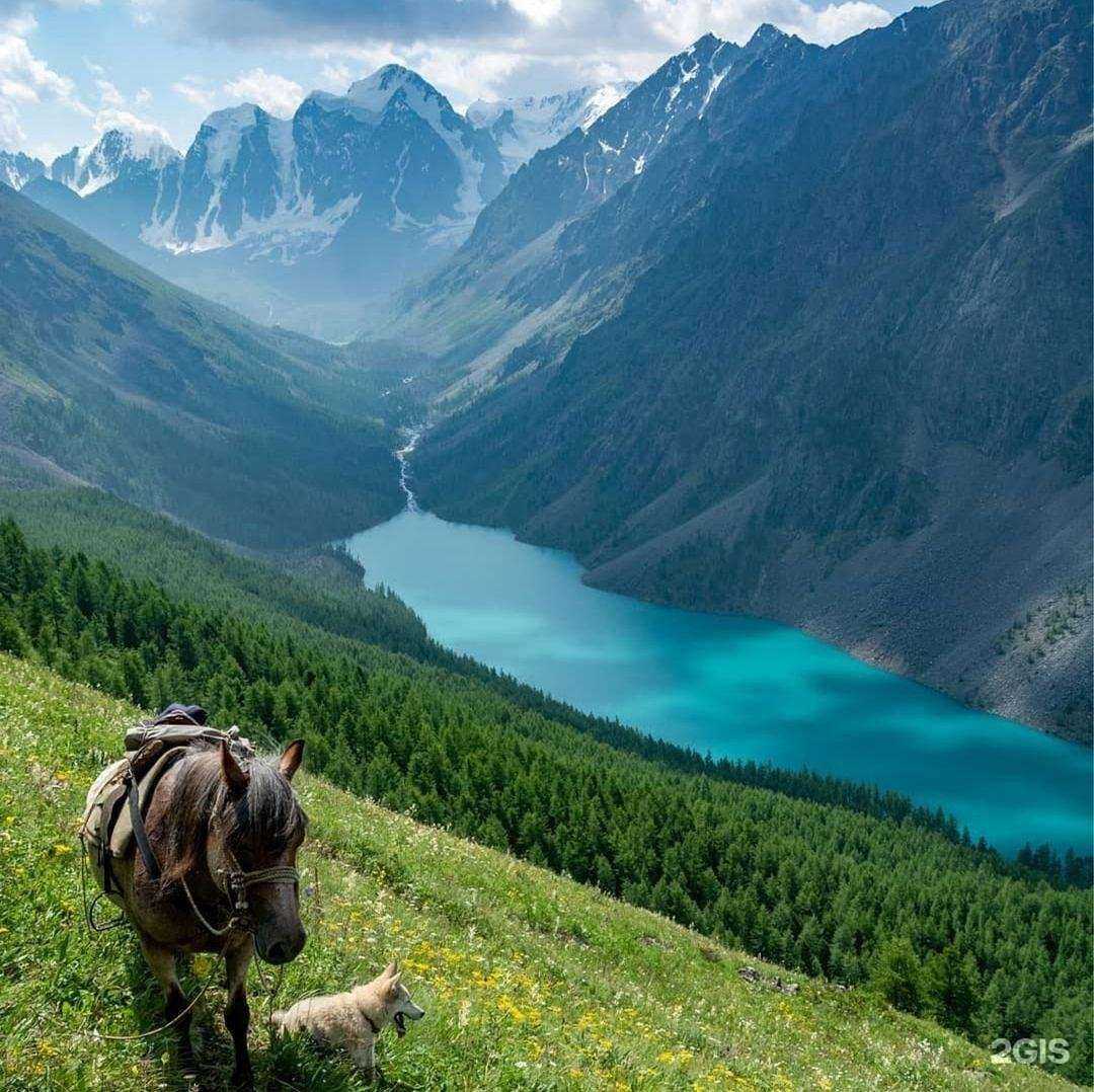 Отзывы на компанию Радуга-Тур в г. Дзержинск c фото