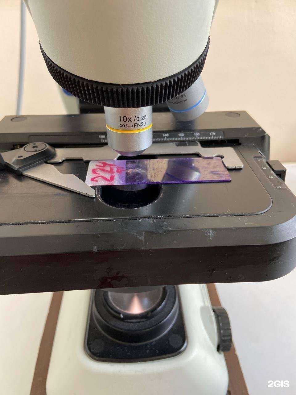 Отзывы на компанию Днк генетик в Магнитогорске c фото