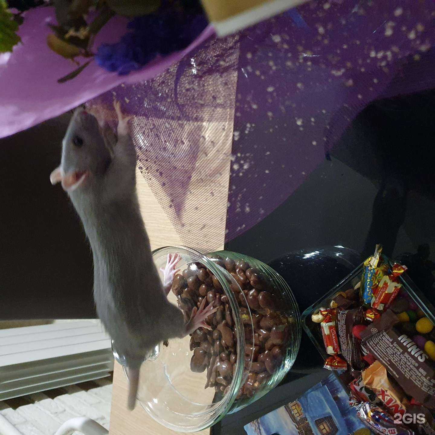 Отзывы на компанию Живой мир в Красноярске c фото