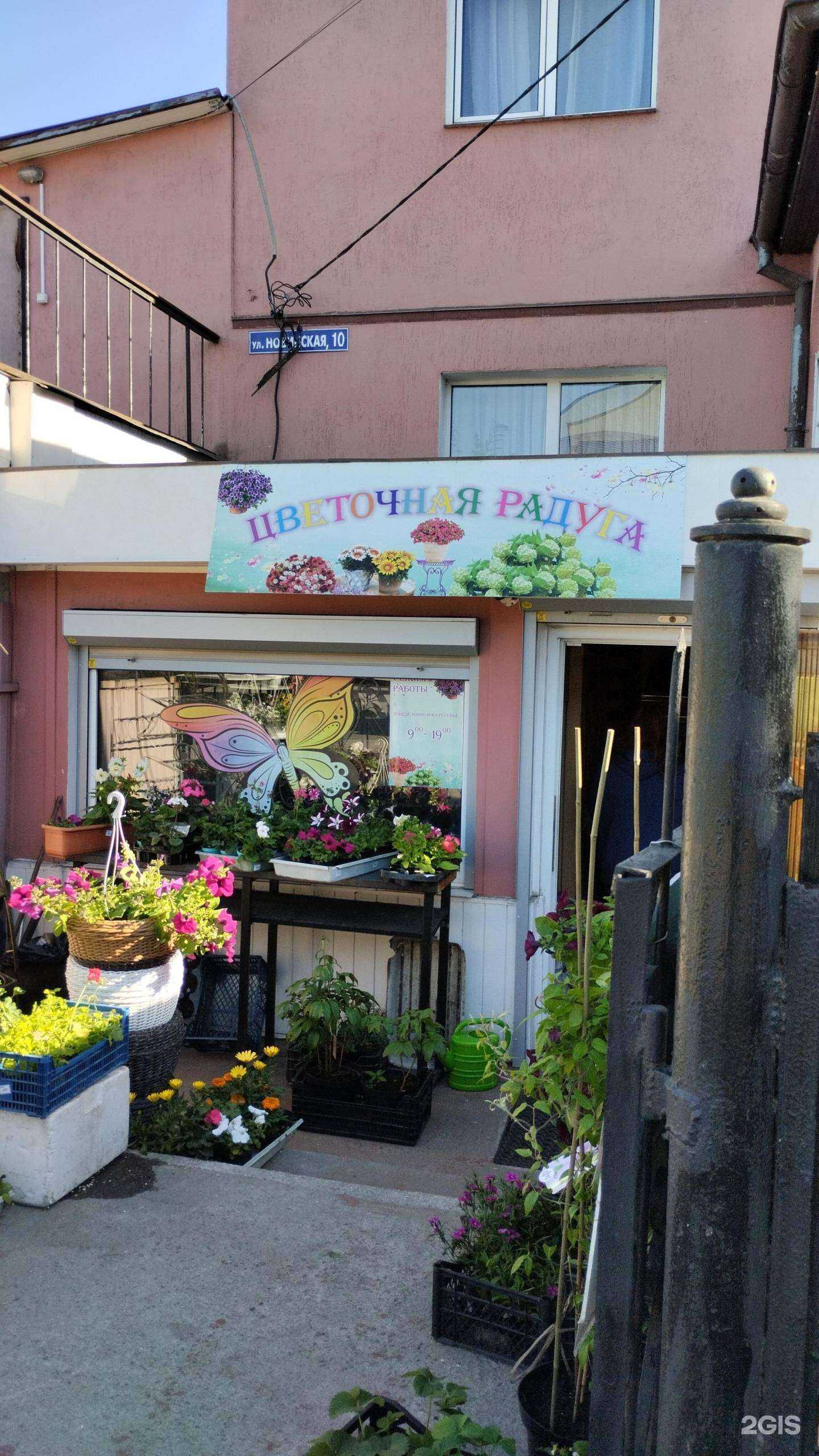 Отзывы на компанию Рассада39 в Калининграде c фото