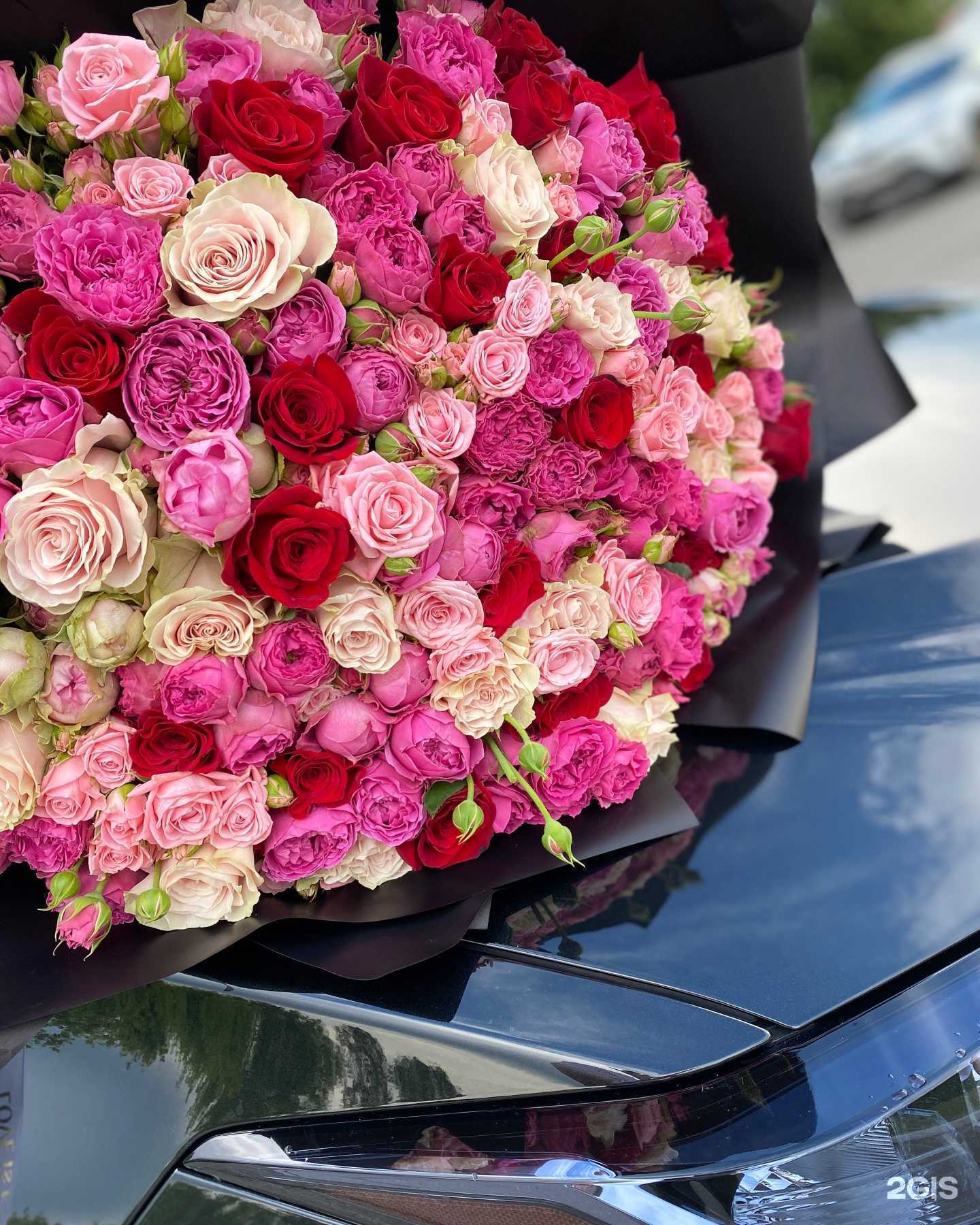 Отзывы на компанию Розмарин в г. Балаково c фото