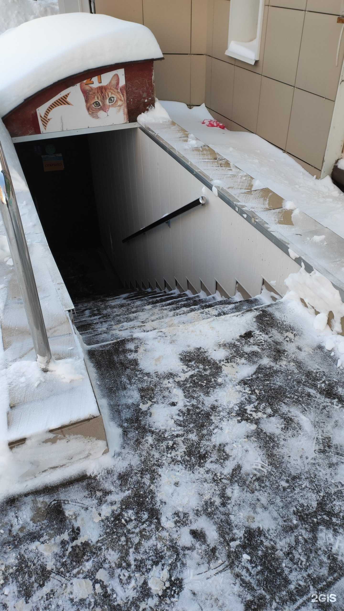 Отзывы на компанию Рыжий кот в г. Пермь c фото