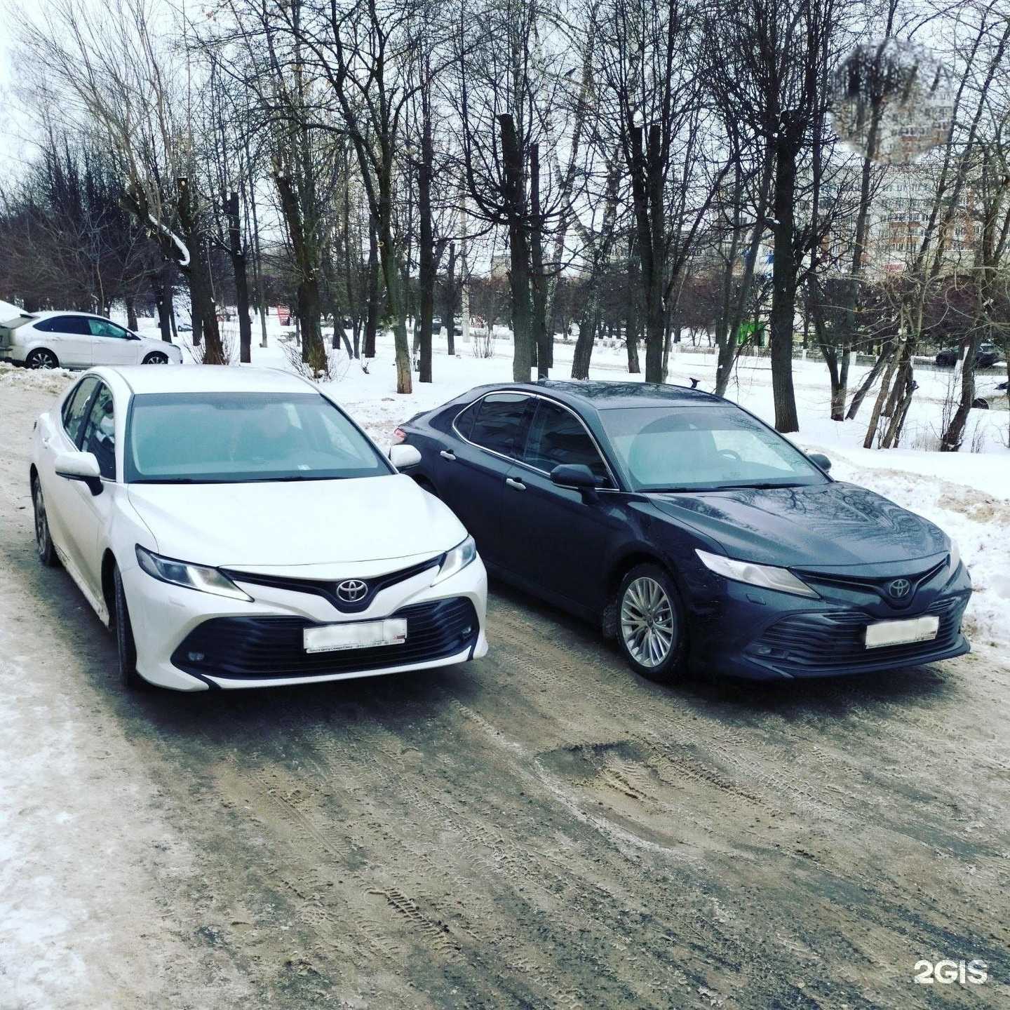 Отзывы на компанию Служба заказа трансфера в Архангельске c фото