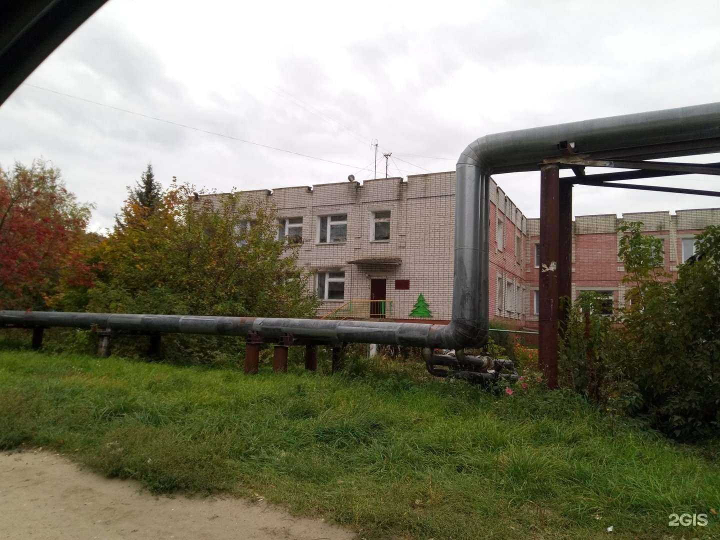 Отзывы на компанию Елочка в Йошкар-Оле c фото